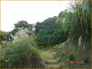 �����������֍s�����I