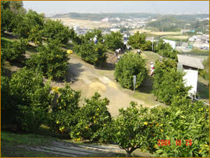 ����K�i�ォ��̌i�F