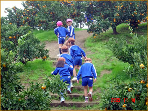 �L�ꂩ�����K�i��o���ď��