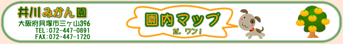 ���݂��񉀁@�����}�b�v�@���D���ȏ����N���b�N���Ďʐ^�������������B