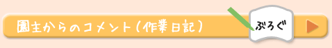 �R�����g