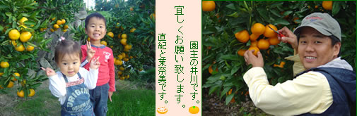�Ƒ��Ŋ撣��]�I