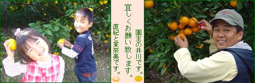 �Ƒ��Ŋ撣��]�I