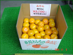 写真はサイズM・10kg、3,500円です。